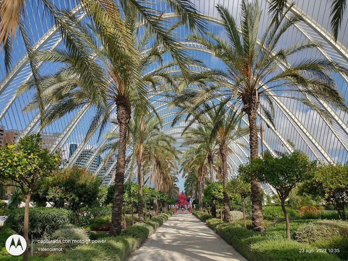  L´Umbracle, es la columna vertebral de Ciudad de las Artes y de las Ciencias. Un jardín al aire libre de 4.000m2 