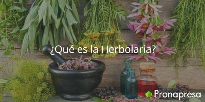 ¿Qué es la Herbolaria?