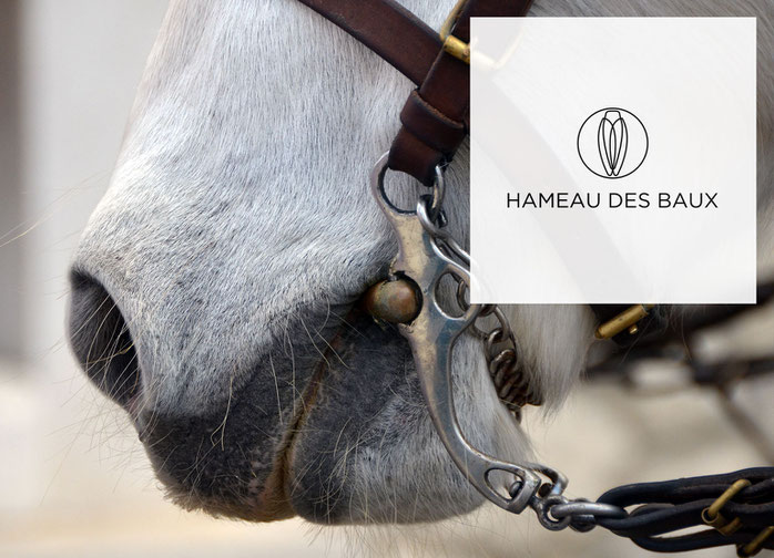 Horseback riding in Provence
