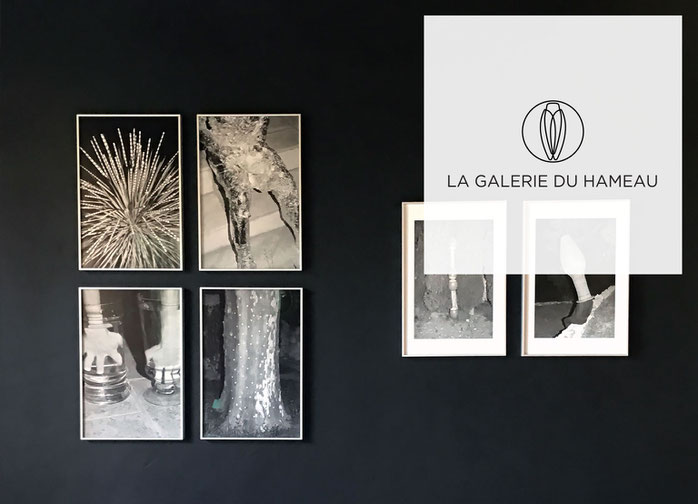 Jonathan Llense exhibits his work at La Galerie du Hameau