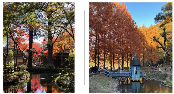 平林寺とあけぼの公園《平賀ファイナンシャルサービシズ(株)》