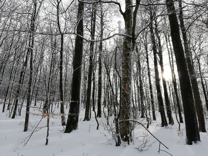 Kraftquelle, Wochenrückblick, Wochenlieblinge, Schneelandschaft, Kraftquelle Schnee, Kraftquelle Winter, Auszeit in den Bergen, Kraft im Winter tanken