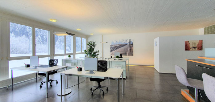 Business Staging Office Staging Büro Gewerbe Chaltenbodenstrasse Schindellegi