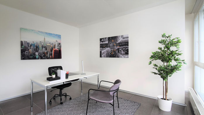 Business Staging Office Staging Büro Gewerbe Chaltenbodenstrasse Schindellegi