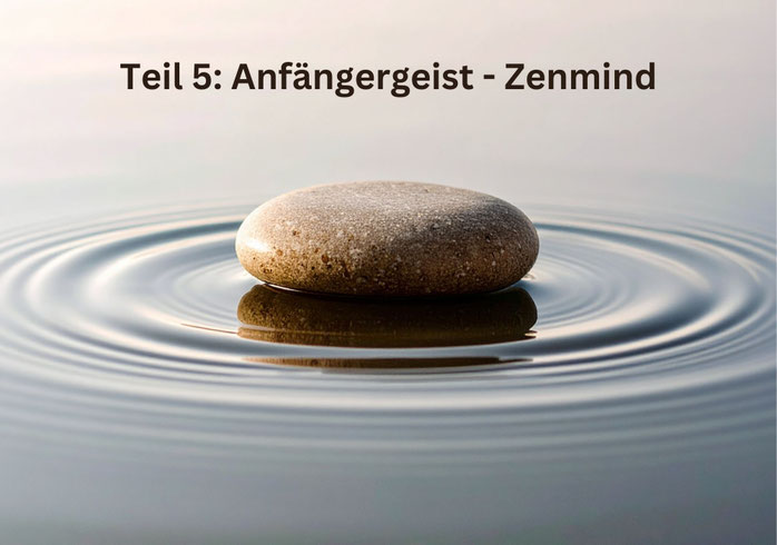 Der Auditor muss sein wie ein Stein im stillen Wasser - Symbolbild Stein im Wasser