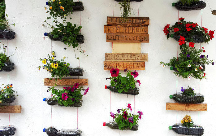 Urban Gardening; Guerilla Gardening; Altona; Chemnitzstraße; live4happiness2day; bloggingforinspiration; localloves; Blumenwand; Wandgarten; Wandflaschengarten; Flaschengarten
