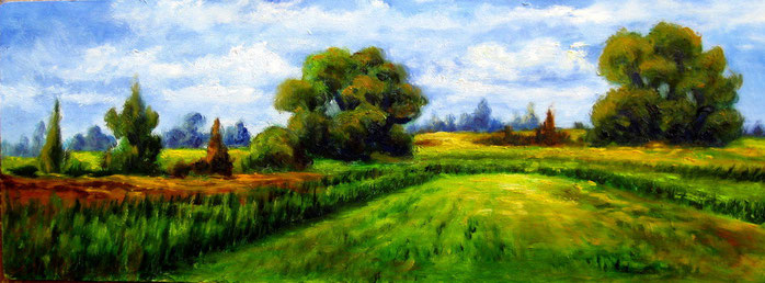 Campos en Primavera. Óleo de 70 x 26