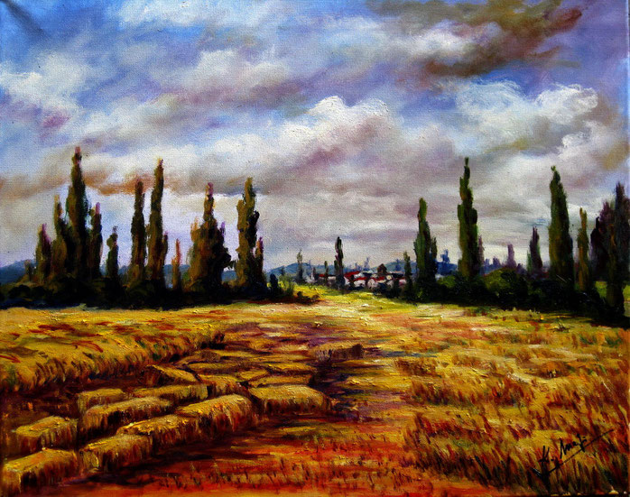 Campos en veranos. Óleo sobre lienzo de 50 x 40