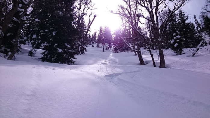 A lonely line where nobody has skied before. Sanalia Bowl, 19/03/2016.