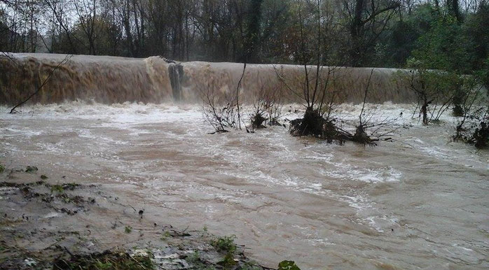 Il fiume Cosa in piena. Sorvegliato speciale dalla protezione civile