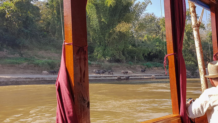 Fahrt auf dem Mekong mit dem Slowboat
