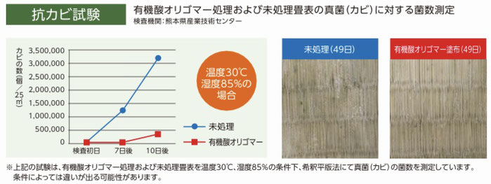 絢葉6の抗カビ効果試験結果