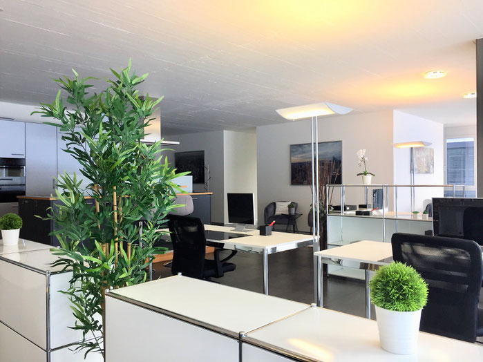 Business Staging Office Staging Büro Gewerbe Chaltenbodenstrasse Schindellegi