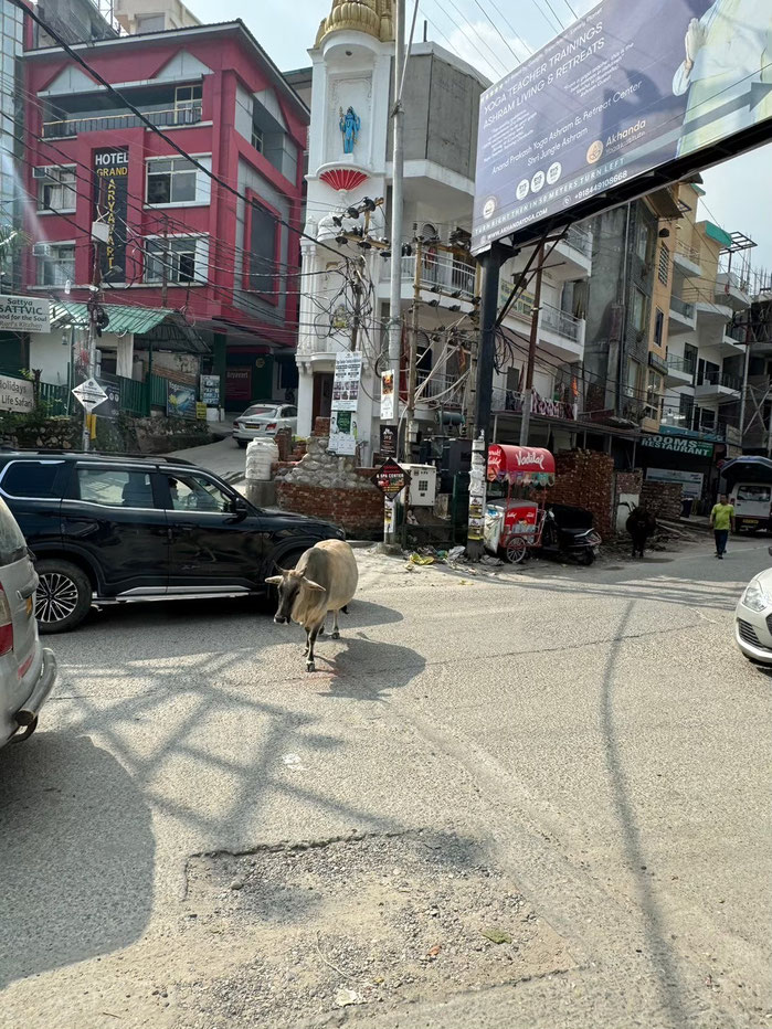 Baraknath Road, Upper Tapovan