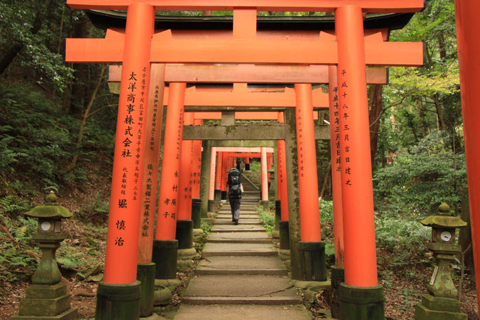 Kyoto - 7 Day Itinerary For Active Families with Small Kids - Hiking the Fushimi Inari Shrine in Kyoto with Small Kids