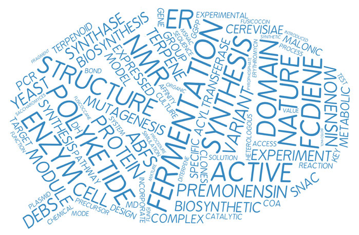 word cloud from our recent publications