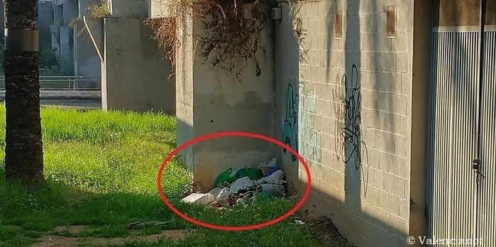 El incivismo se ve por todos los lados en el Jardín del Turia en València y la basura se tira en cualquier lado