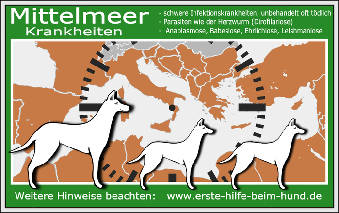 zu einer guten aufklarungsarbeit gehoren auch die informationen uber die verschiedenen krankheiten insbesondere auch der mmk nachfolgend die wichtigsten info s hierzu viele der unten beschriebenen krankheiten konnen den hunden trotz der symptome