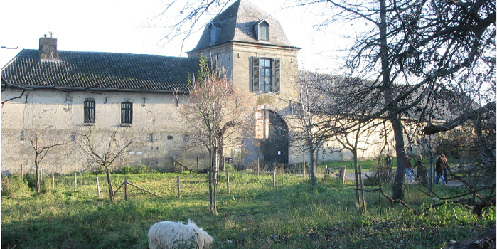 Lichtenberg-ruïne-Sint-Pieter-Maastricht-landhuis-landgoed-kasteel-schaap-Nederland