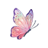 icon schmetterling