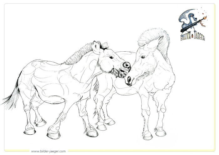 coloring pics for free, Bilderjaeger Malvorlagen, Pferdeliebe, Takhis, Przewalski-Pferde