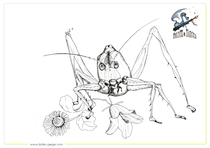 coloring pics for free, Bilderjaeger Malvorlagen, Heuschrecke mit Blumen