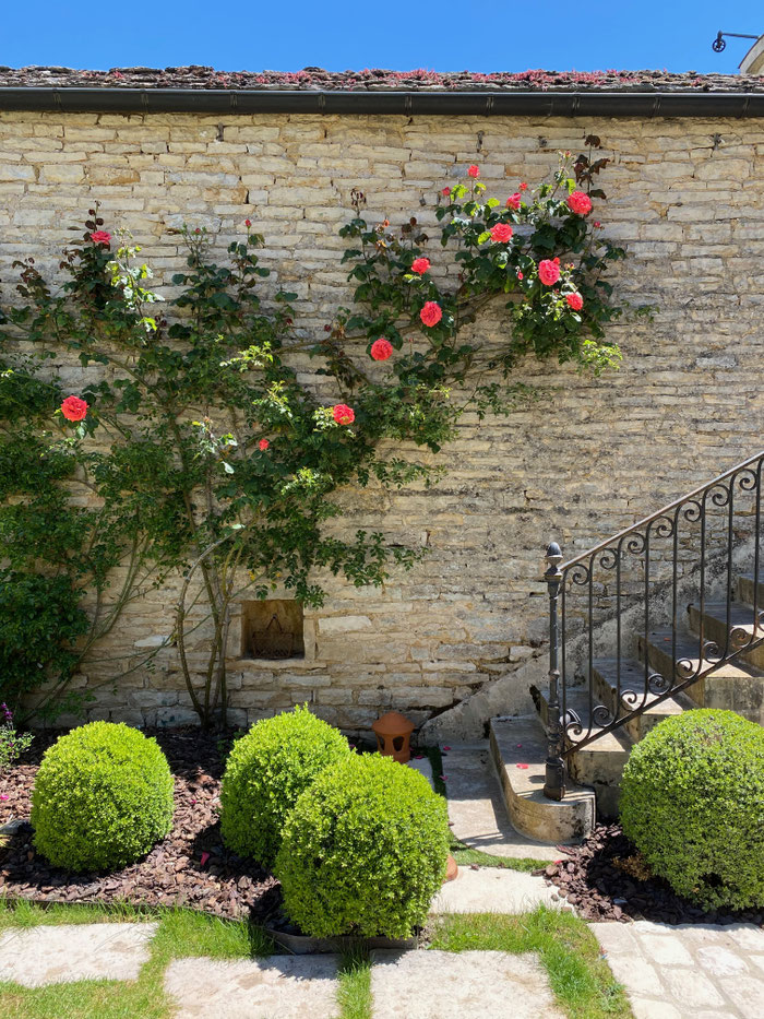 Jardin de la chambre d’hôtes Le Jardin à Meursault