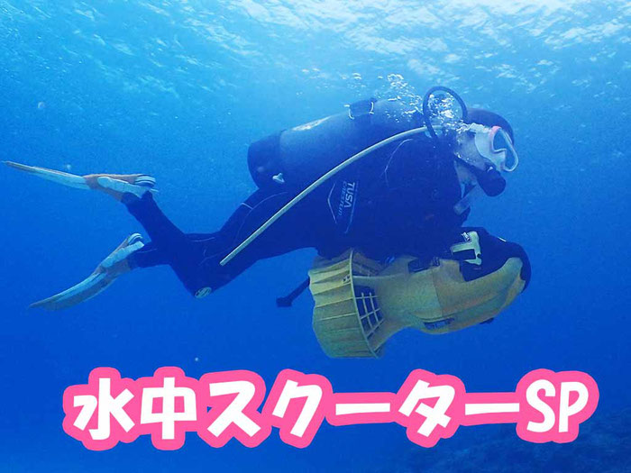 水中モーター 電動スクーター デュアルスピード ウォーター 水中モーター 電動スクーター デュアルスピード ウォーター
