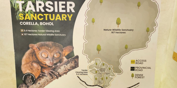 Tarsier sanctuary map