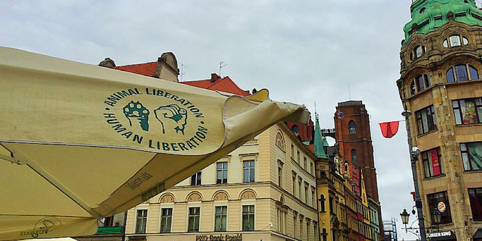 animal liberation vega wroclaw poland