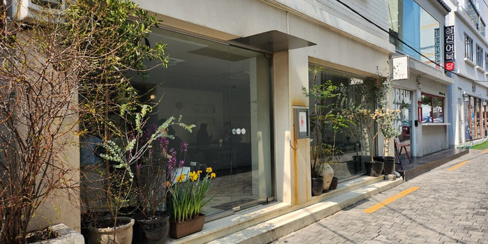 Savoring Sustainability: Inside Busan’s Hidden Vegan Gem, Arp