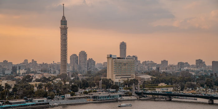 Vegan Food in Cairo