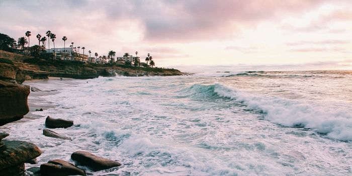 The Best Things to Do in San Diego