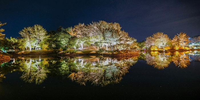 Best Sights to See in Gyeongju