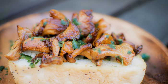 5 Wildly Delicious Vegan Mushroom Recipes