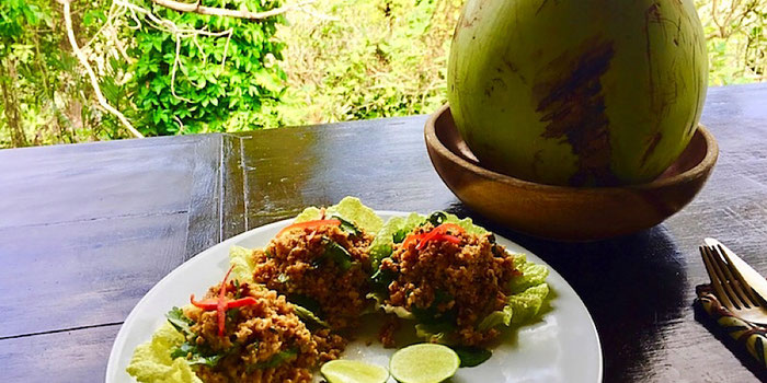 tofu larb from the elephant in ubud bali