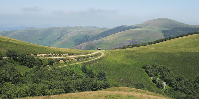 Camino de Santiago 