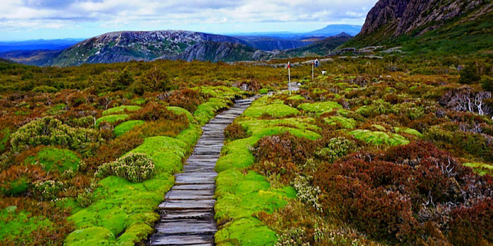 walking path