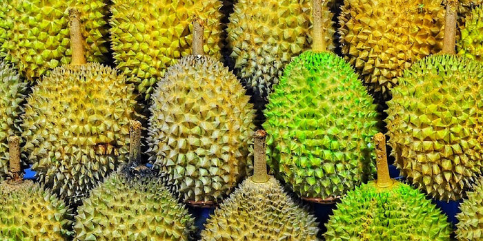 no durian on public transport in singapore