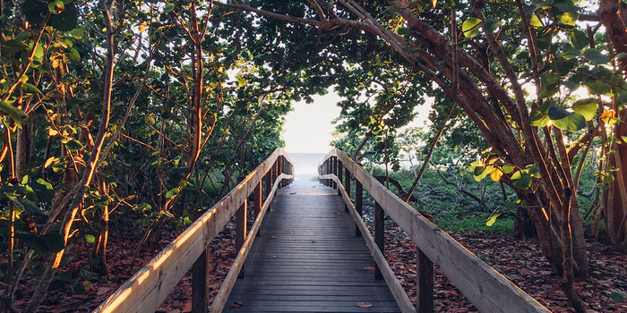 why you should walk in nature