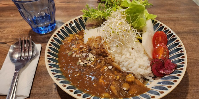 Curry rice dish at SYOSyoHOUBou