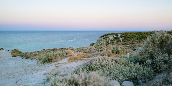 Vegan Food in Turkey: Cuisine of the Aegean Seaside