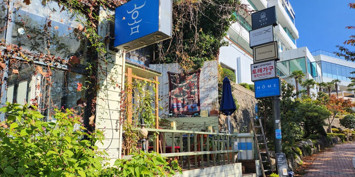  Vegan Food in Busan: Why Home Bistro is a Must-Visit Near Haeundae