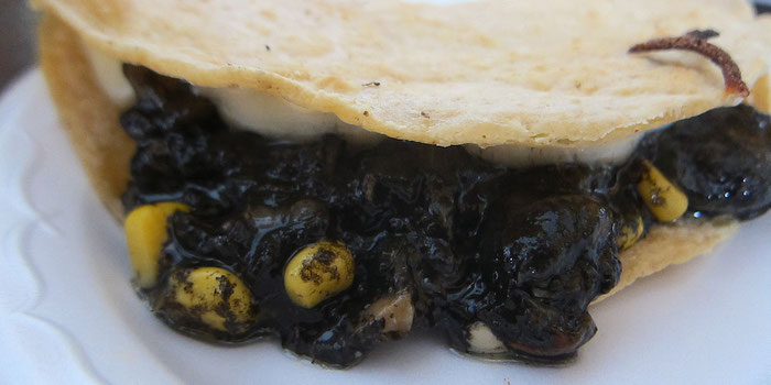 Huitlacoche Quesadilla