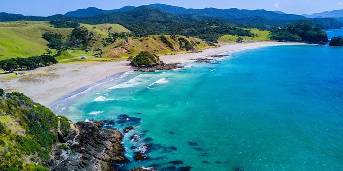 Experiencing New Zealand's Picturesque Coastal Towns