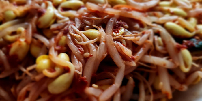 soybean sprouts