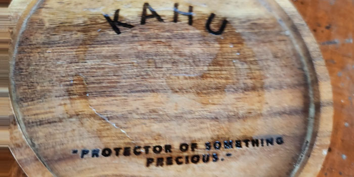 Kahu coaster