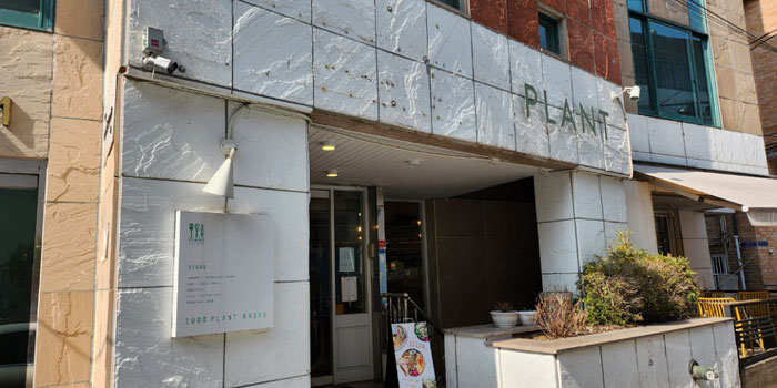 Plant Cafe in Seoul