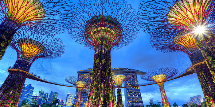 What to Know Before You Go to Singapore