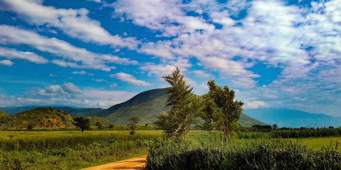 Exploring the Untamed Beauty of Uganda: A Nature Lover’s Guide to Unforgettable Experiences